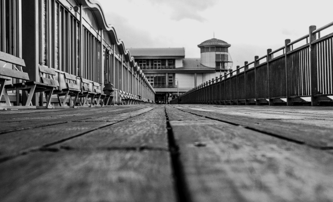 Diversifying design - 多様化するデザイン